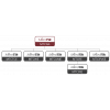 EGITIM-MTCSE MTCSE Mikrotik Sertifikalı Güvenlik Uzmanı Eğitimi 