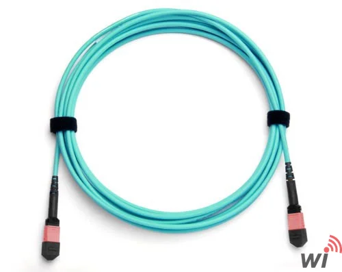 MPO(Female)-MPO(Female) Base-12 Multi-Mod Fiber Patch Cord OM3 Polarite B 3 Metre